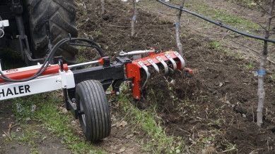 Rollhacke Weithaler Baumanpflanzung